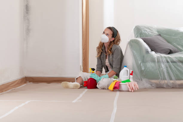Reliable Mold Inspection contractor in Silverdale, PA by WQB Mold Removal