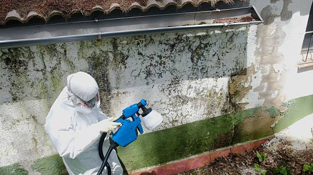Top rated local Mold Inspection specialists in Silverdale, PA